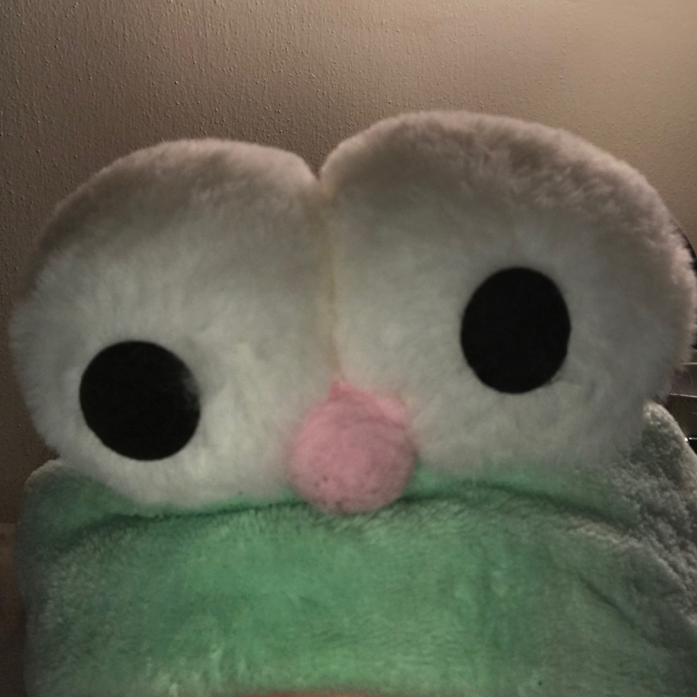 Meet your Posher, Kelly